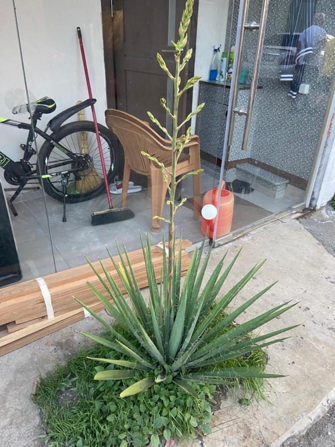 エレバンVahe'S Family Guests Houseアパートメント エクステリア 写真